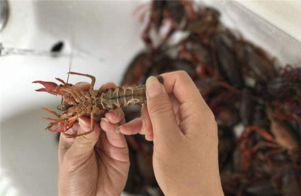 蝦尾怎么清洗，清洗蝦尾有兩方法
