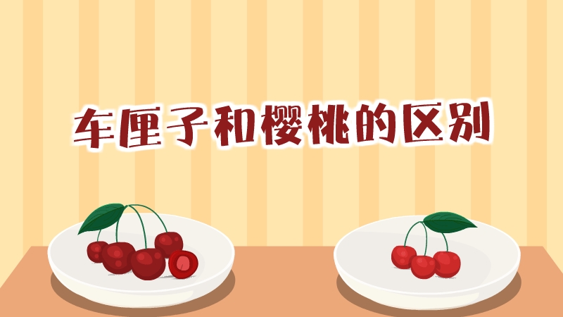 車?yán)遄雍蜋烟业膮^(qū)別