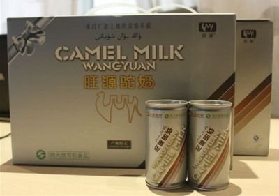 駱駝奶比牛奶好嗎，駱駝奶粉和牛奶粉有什么區別