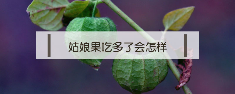 姑娘果吃多了會(huì)怎樣