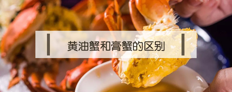 黃油蟹和膏蟹的區(qū)別