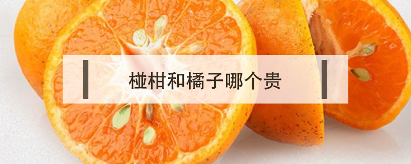 椪柑和橘子哪個(gè)貴