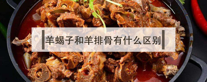 羊蝎子和羊排骨有什么區(qū)別