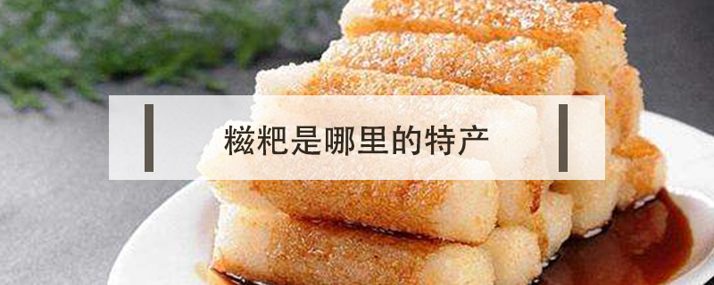 糍粑是哪里的特產(chǎn)