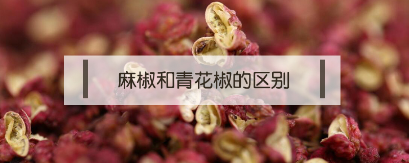 麻椒和青花椒的區別