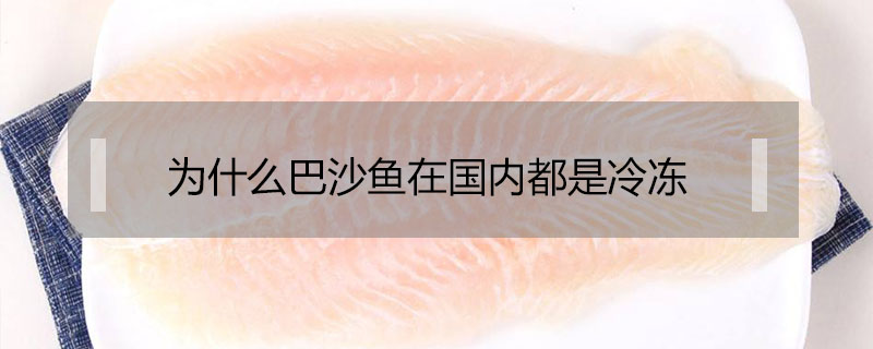 為什么巴沙魚在國內(nèi)都是冷凍