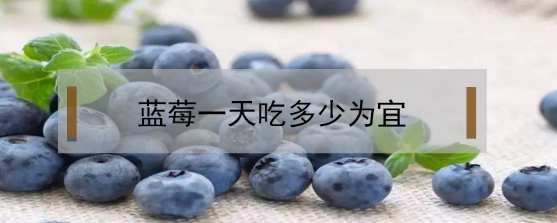 藍莓一天吃多少為宜