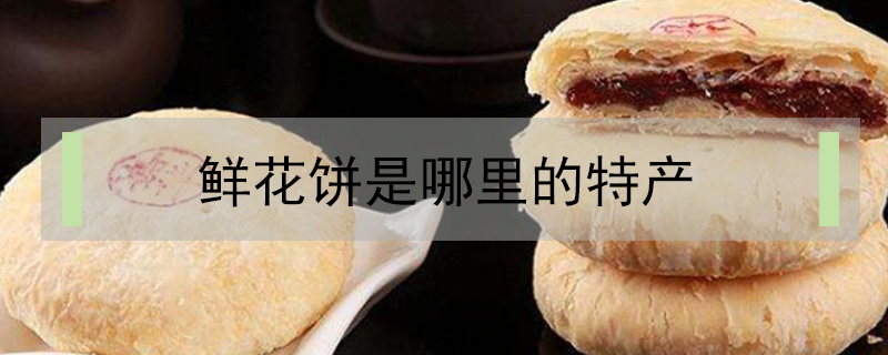 鮮花餅是哪里的特產(chǎn)