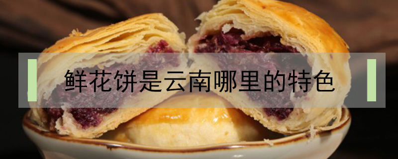 鮮花餅是云南哪里的特色