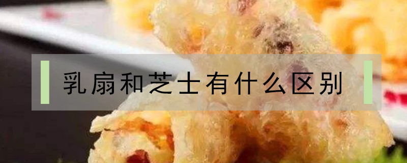 乳扇和芝士有什么區別