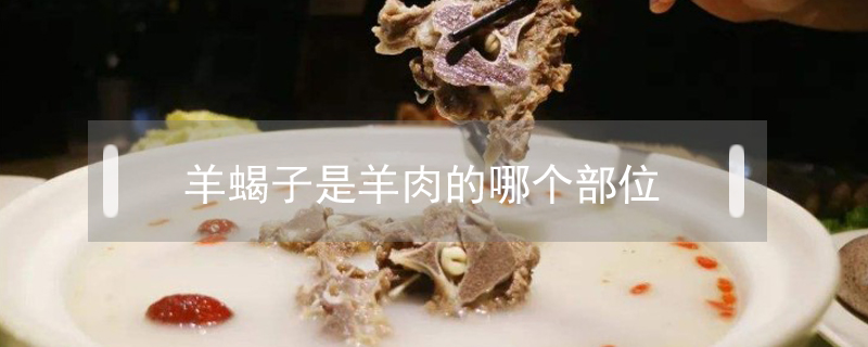羊蝎子是羊肉的哪個(gè)部位