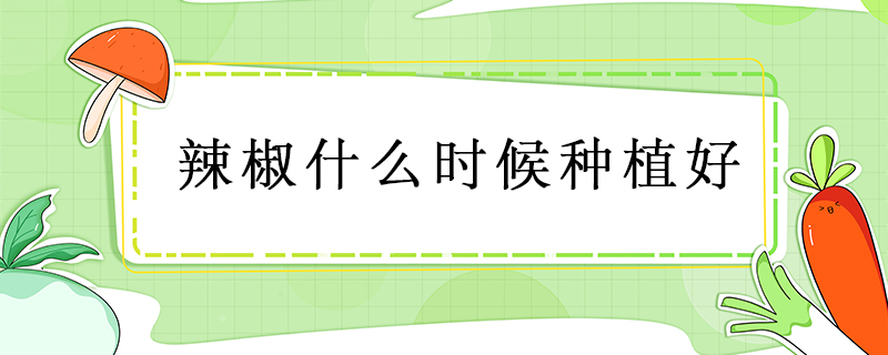 辣椒什么時(shí)候種植好