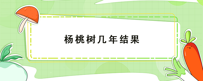 楊桃樹(shù)幾年結(jié)果