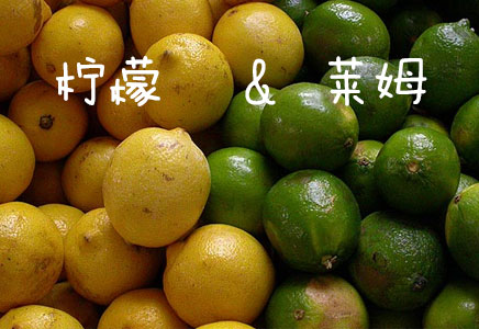 萊姆圖片，萊姆的功效與作用，萊姆營養價值