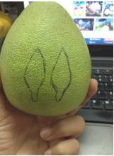 柚子龍貓?jiān)趺醋觯蓯?ài)的柚子龍貓做法（圖文）