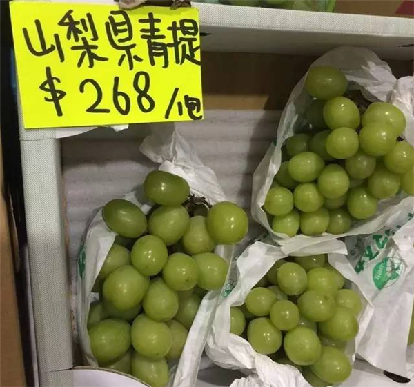 日本青提為什么貴 日本香印翠玉青提價格
