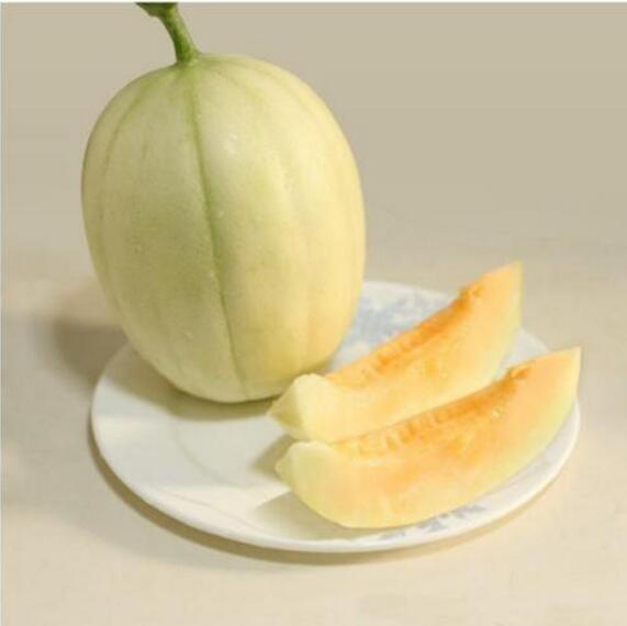 香瓜圖片，香瓜開花圖片，香瓜怎么挑好
