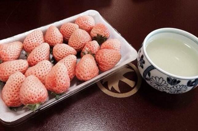 白草莓價格多少錢一斤 白草莓的營養(yǎng)價值有哪些