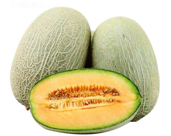 哈密瓜圖片，哈密瓜種子，哈密瓜長在哪
