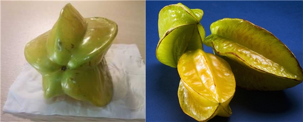 楊桃什么季節(jié)成熟 楊桃開花到成熟多久