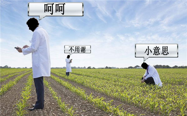 香蕉樹是一年一種嗎 香蕉樹一年結(jié)幾次果