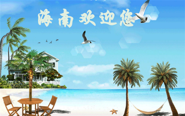 椰子樹象征什么意思 椰子樹代表堅韌與完美