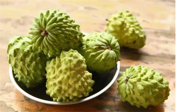 釋迦果上火嗎，釋迦果性溫吃多了會上火