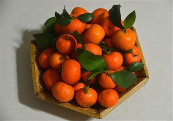 砂糖橘幾月開花結果 砂糖橘開花結果圖片 砂糖橘的食用小技巧