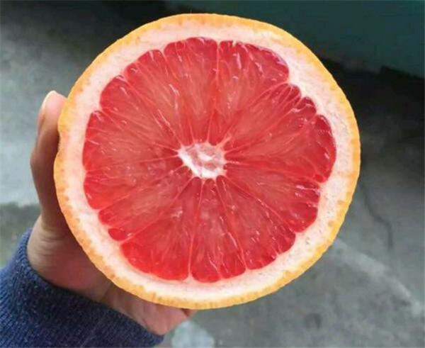 南非西柚的口感 南非西柚為何如此好吃
