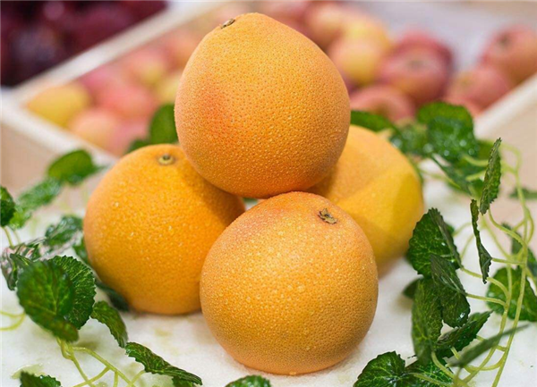 南非西柚上市時間 南非西柚成熟季節(jié)在夏季(7-9月)