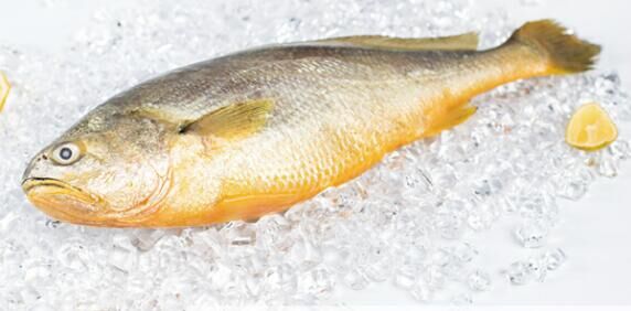 黃魚多少錢一斤，不同品種的黃魚價格都不等