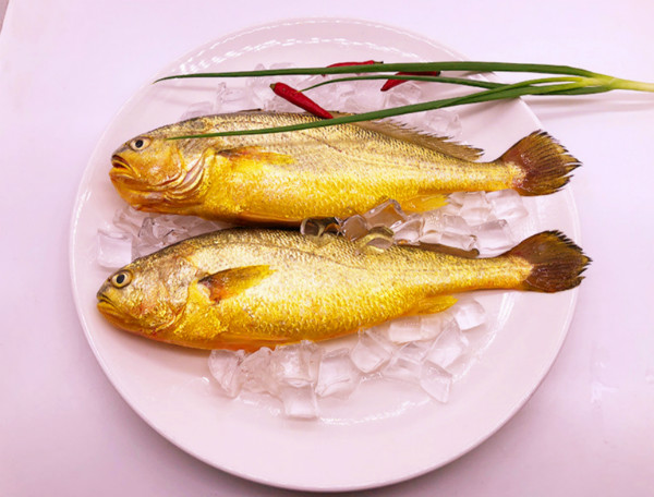 黃魚多少錢一斤，不同品種的黃魚價格都不等