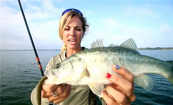 鱸魚是海魚嗎，鱸魚有海魚的品種