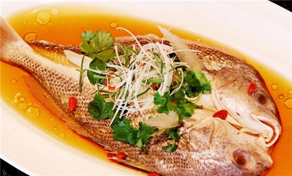 清蒸鱸魚最簡單的做法，四步學會清蒸鱸魚做法