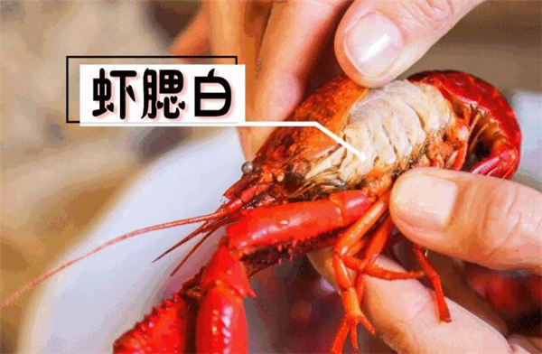 洗蝦粉洗過龍蝦能活嗎，洗過的龍蝦都表示奄奄一息生無可戀