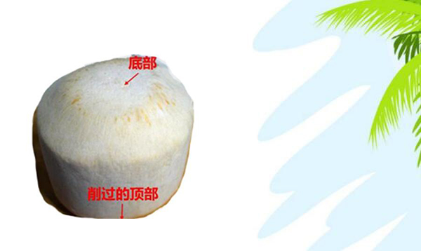 青椰子的三個(gè)孔怎么找，青椰子怎么開(kāi)孔圖解步驟