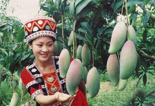 廣西特產水果都有哪些，廣西特產水果圖片大全