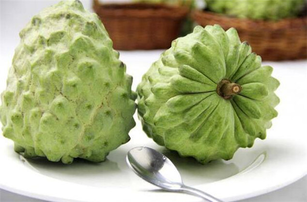 臺灣的特產(chǎn)是什么水果，臺灣特產(chǎn)水果之王蓮霧