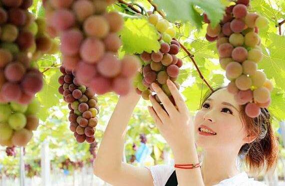 吃什么水果去痘印最快淡化，十大加速去痘印應該吃什么水果
