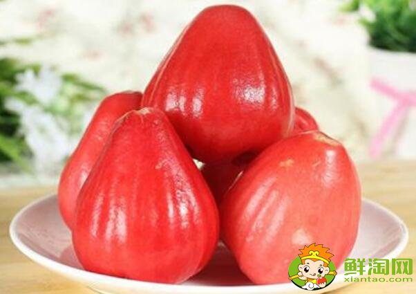水果蓮霧的營(yíng)養(yǎng)價(jià)值高嗎(蓮霧的營(yíng)養(yǎng)價(jià)值是啥)，蓮霧的營(yíng)養(yǎng)價(jià)值及功效