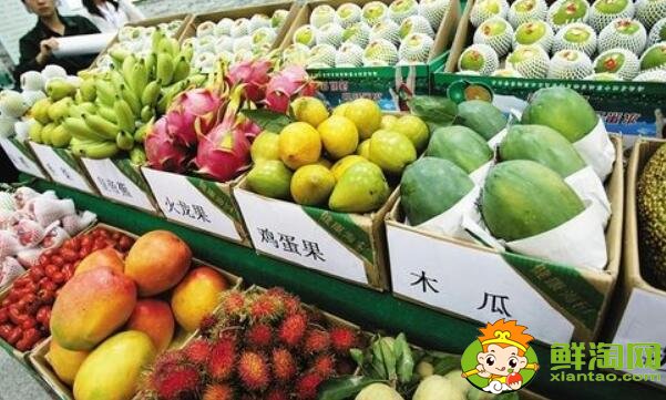 海南熱帶水果有哪些名稱大全，海南熱帶水果上市時間