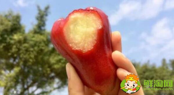 海南熱帶水果有哪些名稱大全，海南熱帶水果上市時間