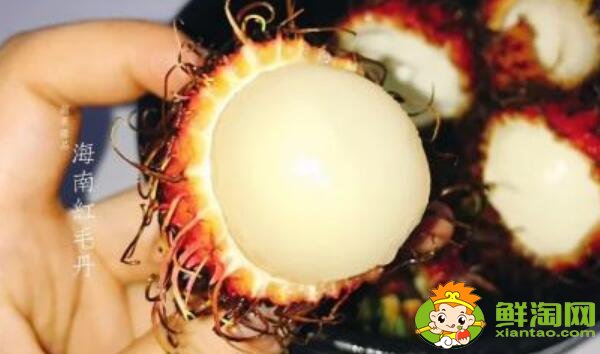 海南熱帶水果有哪些名稱大全，海南熱帶水果上市時間