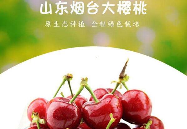 雞心櫻桃是什么品種，雞心櫻桃山東煙臺地區(qū)位列第三位