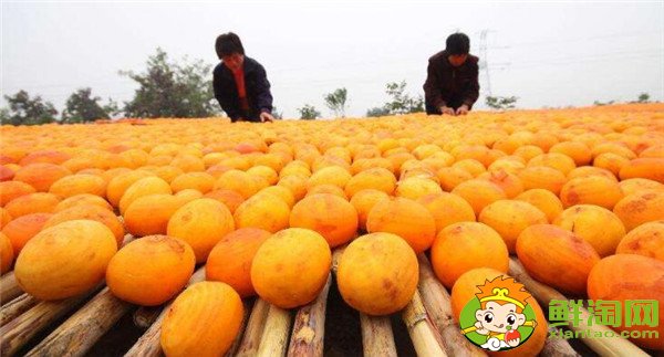 柿子餅怎么做，柿子餅的做法(五步輕松學(xué)會)