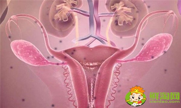 女人月經(jīng)期能吃蘋果嗎，女性宮寒月來經(jīng)期能吃蘋果嗎