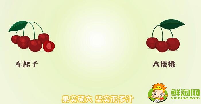 車?yán)遄雍蜋烟业膮^(qū)別