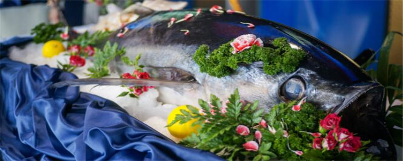 金槍魚(yú)怎么吃