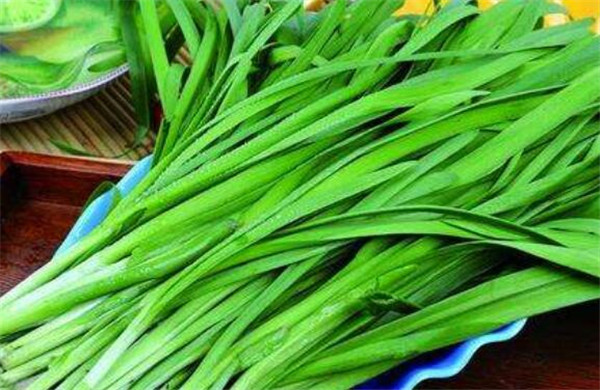 孕婦能吃韭菜嗎，孕婦吃韭菜的好處