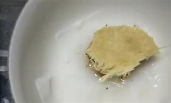 金針菇根部再生方法，金針菇培養(yǎng)液調制再生效果非常好